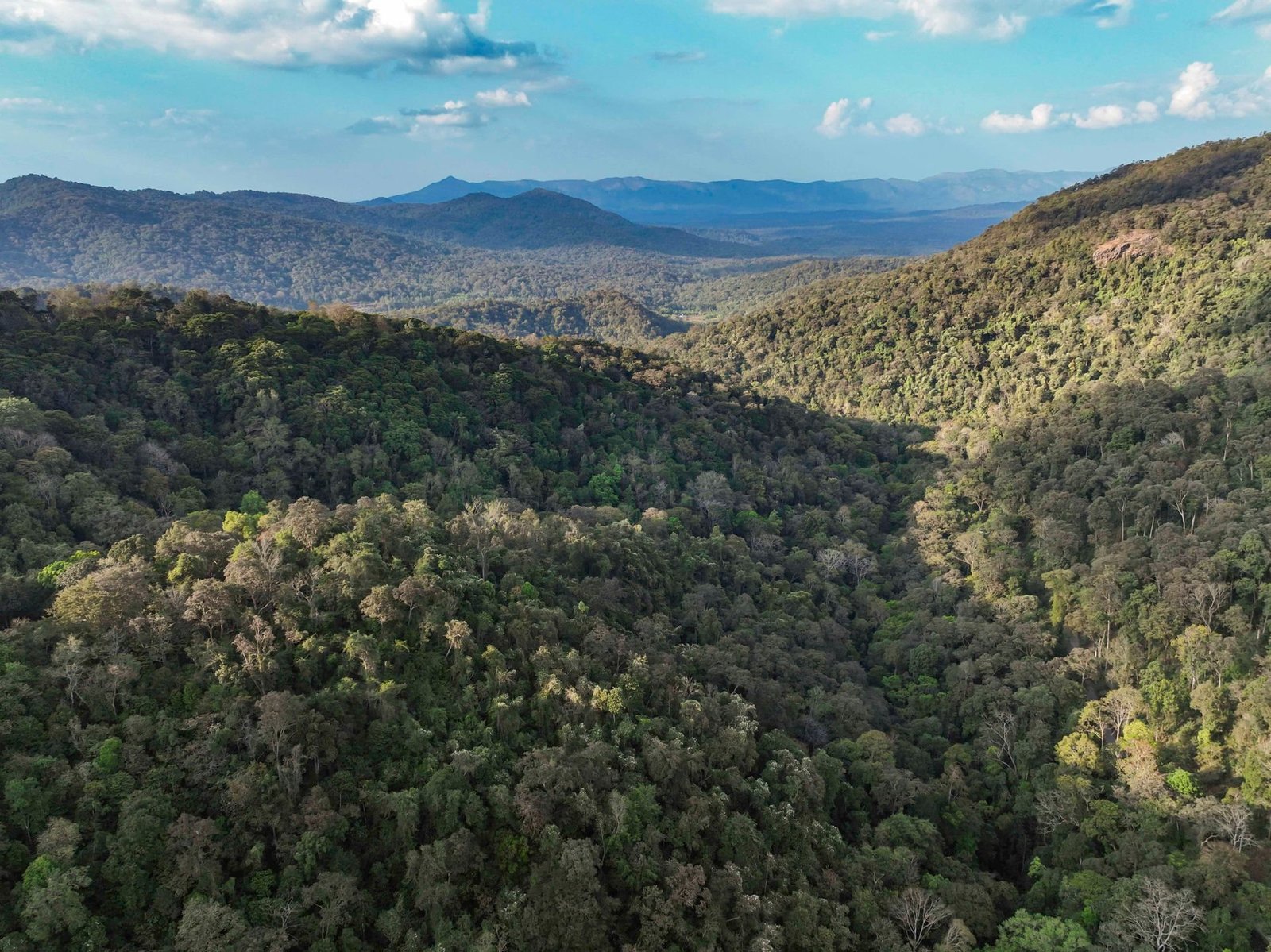 Forested valleys in the Chikmagalur hills