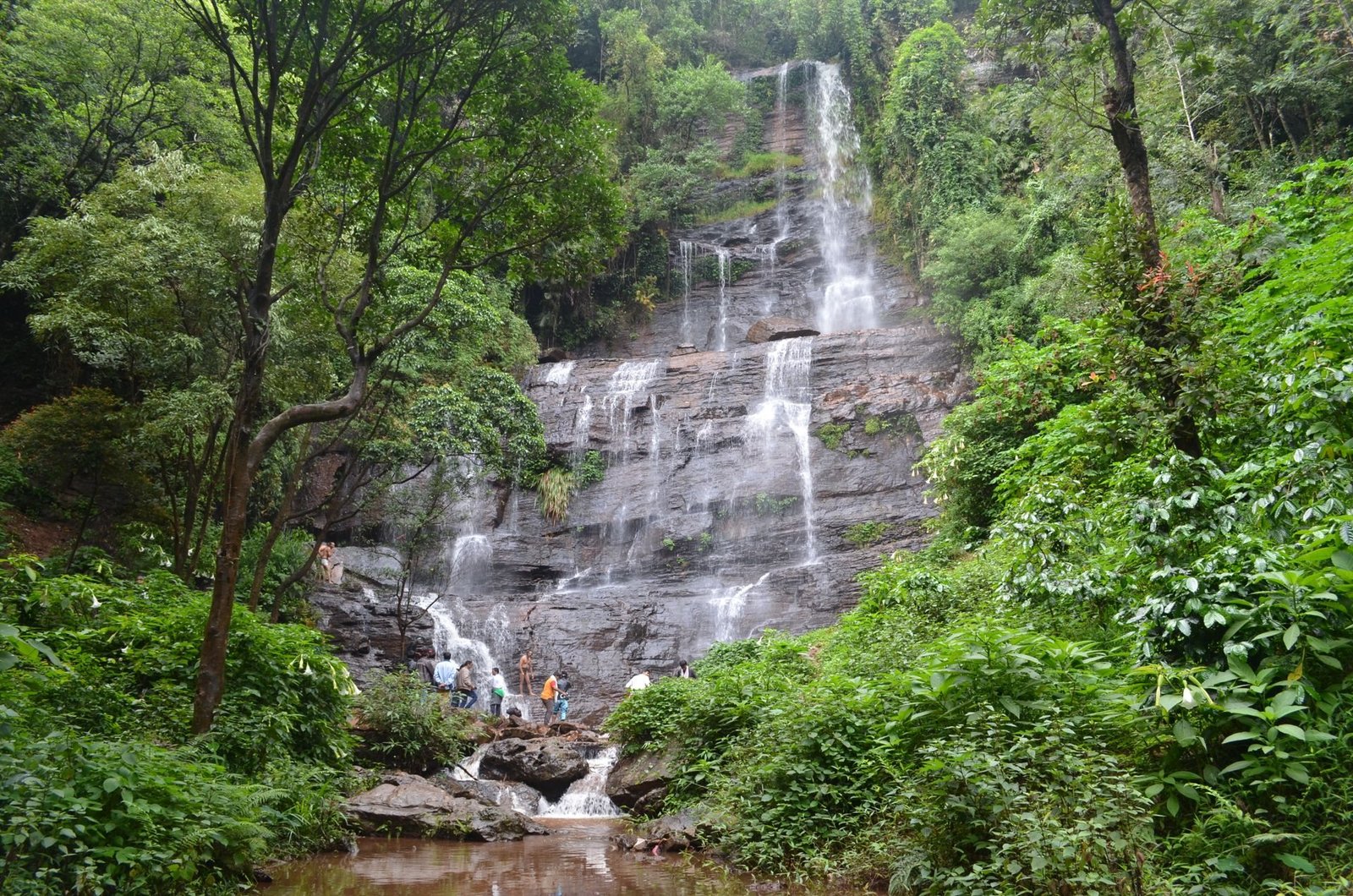 A waterfall flowing through dense greenery in Chikmagalur